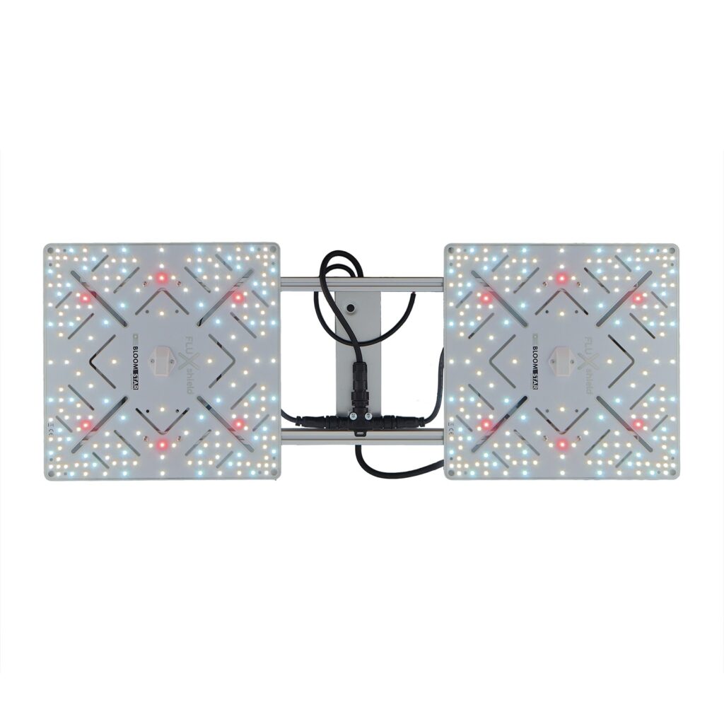BloomStar Wingman 600