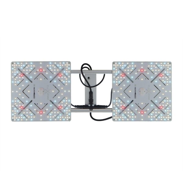 BloomStar Wingman 600