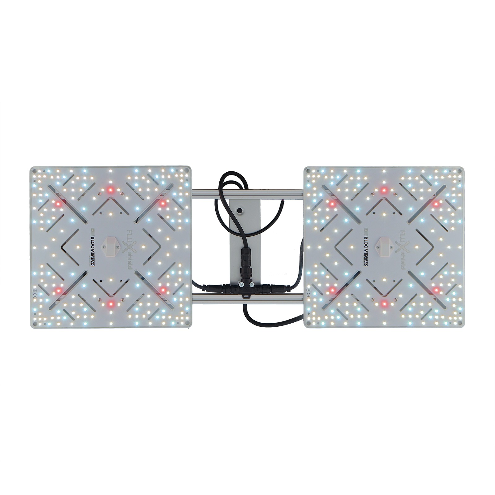 BloomStar Wingman 600