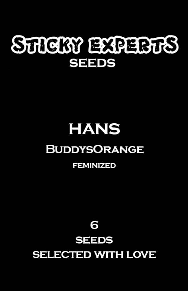 Sticky Experts Hans BuddysOrange Fem 6St.