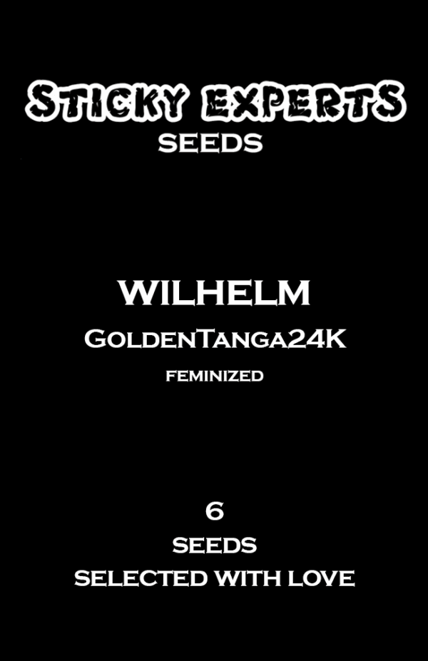 Sticky Experts Wilhelm GoldenTanga24K Fem 6St.