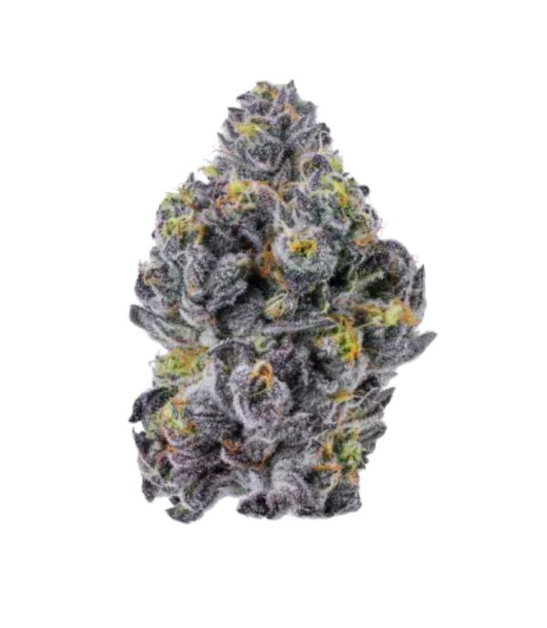 Growers Choice Sticky Wasabi Triploid Fem 3St.
